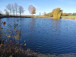 Teich am Agrarflugplatz (Lockstedt)-4