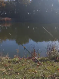 Teich am Agrarflugplatz (Lockstedt)-1