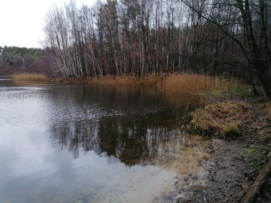 Papensee (Bergsdorf)-2