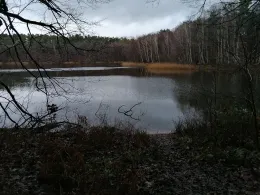 Papensee (Bergsdorf)-4