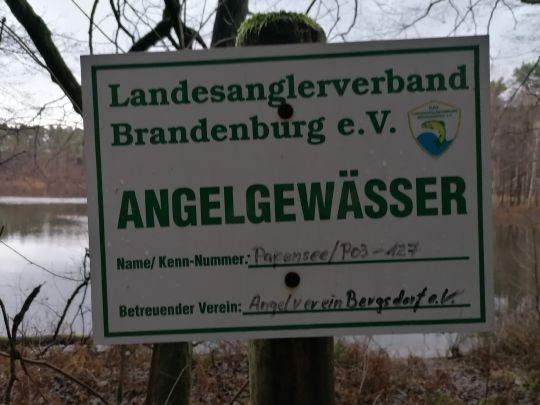 Papensee (Bergsdorf)-1