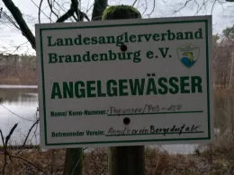 Papensee (Bergsdorf)-1