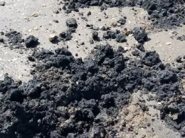 Baggersee Connhausen-3