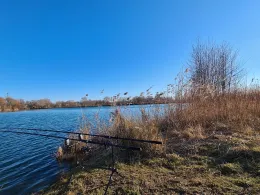 Niederneuching Neu-2