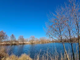 Niederneuching Neu-1