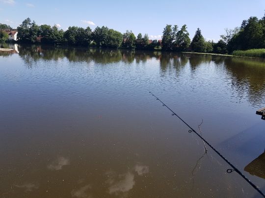 Hammerweiher (Wangen)-1