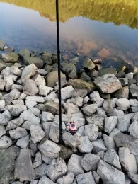 Elbe (Königstein)-4