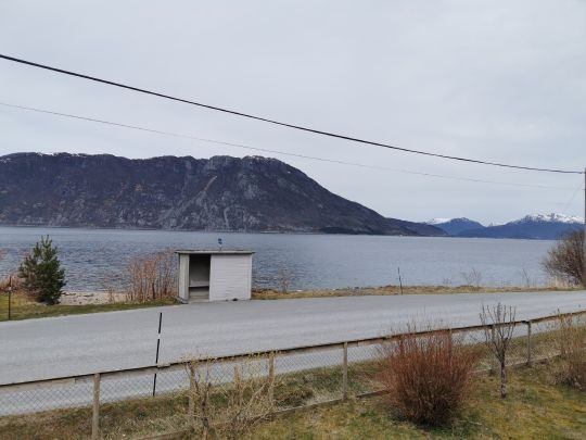 Rovdefjord