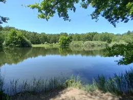 Irmerteich (Zittau)-1