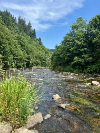 Murg (Schönmünzach)-1