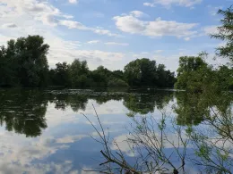 Große Brake (Bremen)-1