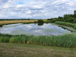 Große Brake (Bremen)-2