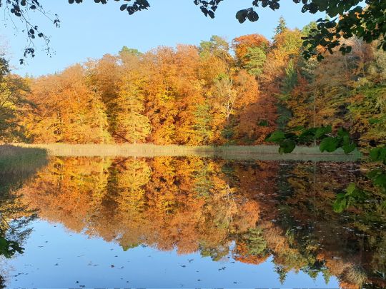 Oberer Voigtsdorfer Teich-2