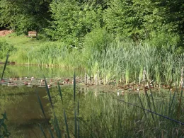 Schlossteiche Schwarzhausen-1