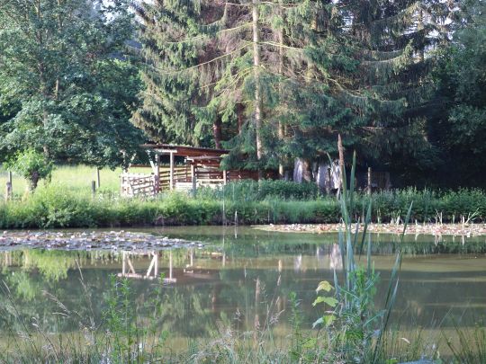 Schlossteiche Schwarzhausen-3