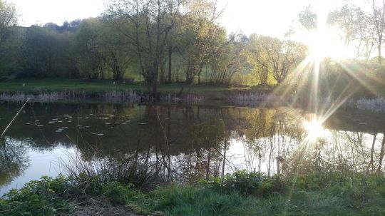 Schlossteiche Schwarzhausen-2