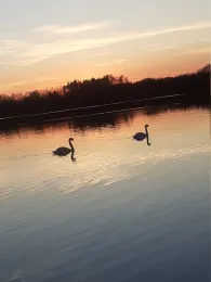 Merschsee (Löningen)-1