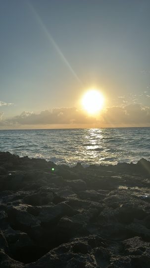 Karibisches Meer (Playa del Carmen)-3