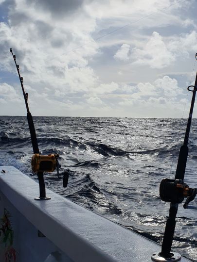 Karibisches Meer (Playa del Carmen)-1