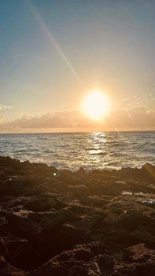 Karibisches Meer (Playa del Carmen)-4