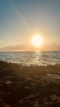 Karibisches Meer (Playa del Carmen)-4