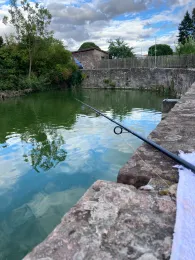 Rentamtsweiher (Hammelburg)