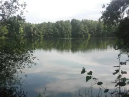 Kiesteich Bordenau-1