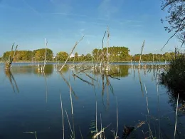 Bruchfeldsee (Wilslebener See)-4