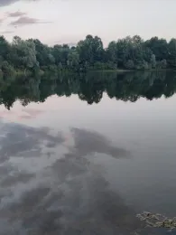 Sassenberg 1 (Rinteln)