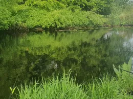 Querkanal Hundsmühlen-1