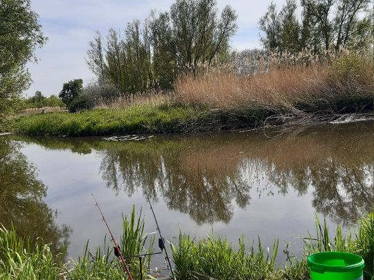 Ohre (Wolmirstedt)-1