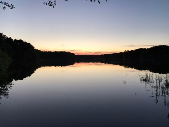 Frauensee (Prieros)-2