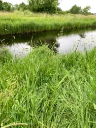 Ringkanal (Südbrookmerland)-3