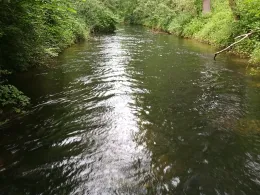 Sickergraben Isar 1 (rechts)-0