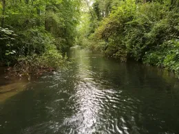 Sickergraben Isar 1 (rechts)-3