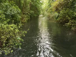 Sickergraben Isar 1 (rechts)-2