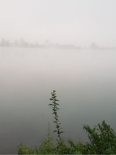 Kronenweiher (Pfaffenhausen)-2