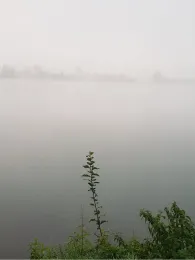 Kronenweiher (Pfaffenhausen)-2