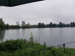 Kronenweiher (Pfaffenhausen)