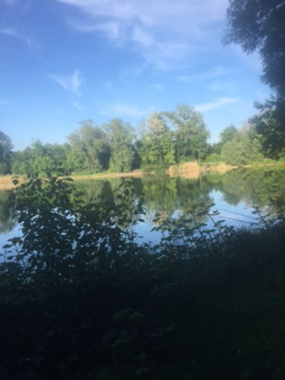 Mahrhöher Weiher