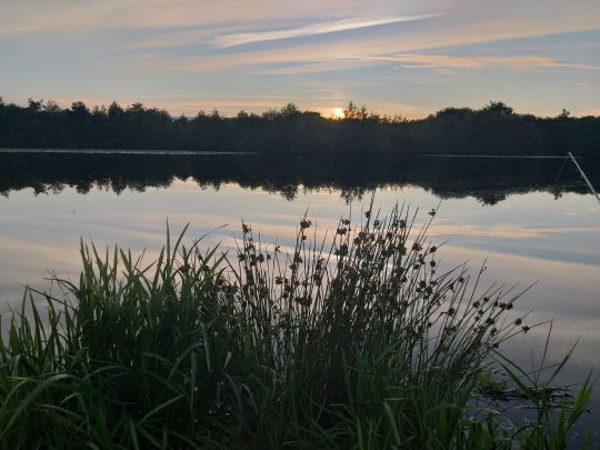 Langholter Meer