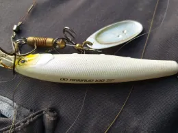 Alter Main Untereuerheim