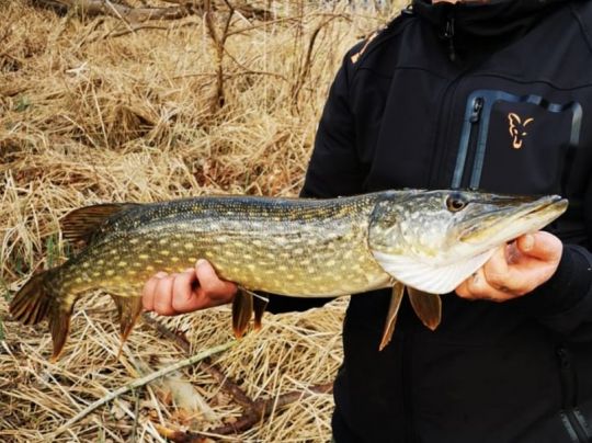 Großer Rathsburger See-1