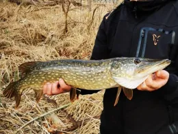 Großer Rathsburger See-1