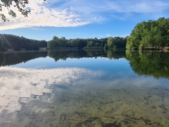Schäfersee (Baggersee am Stern)-3