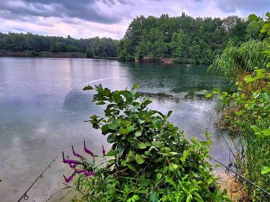 Schäfersee (Baggersee am Stern)-4