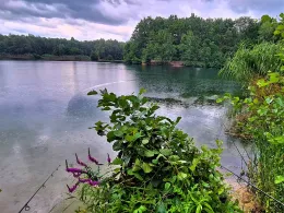 Schäfersee (Baggersee am Stern)-4