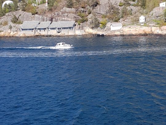 Lyngdalsfjorden angeln