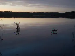 Krummer See (Wattmannshagen)-1