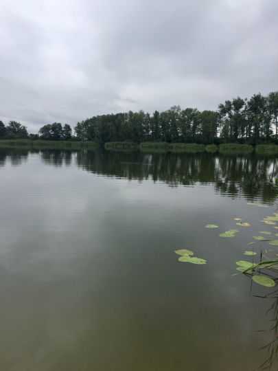 Krummer See (Wattmannshagen)-2